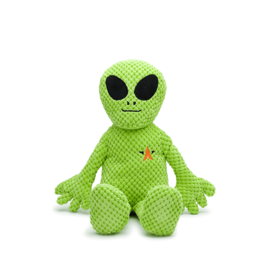 Floppy Alien - Doglicious Bakery Bites