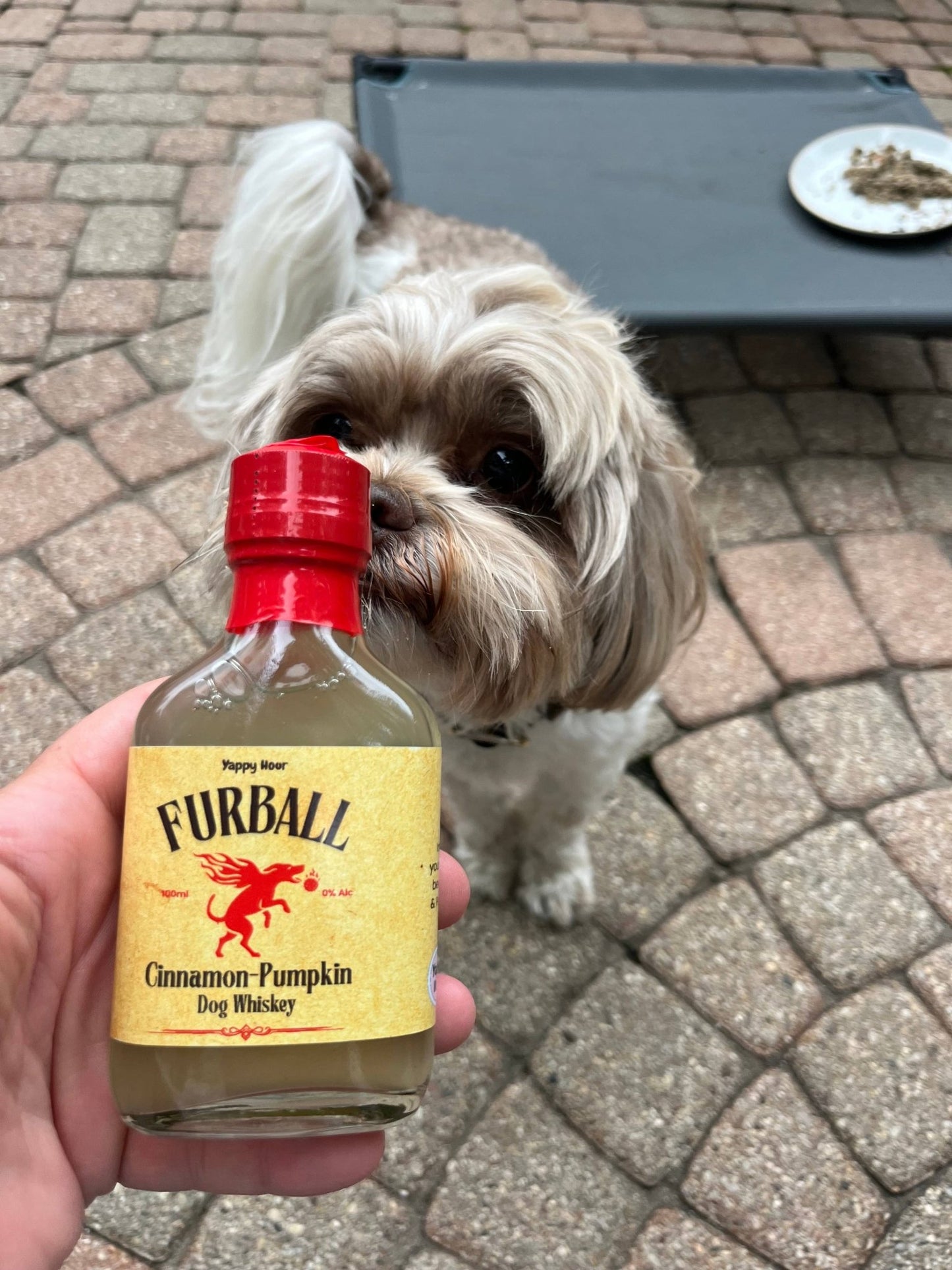 Furball Dog Whiskey | Pumpkin - Cinnamon - Doglicious Bakery Bites