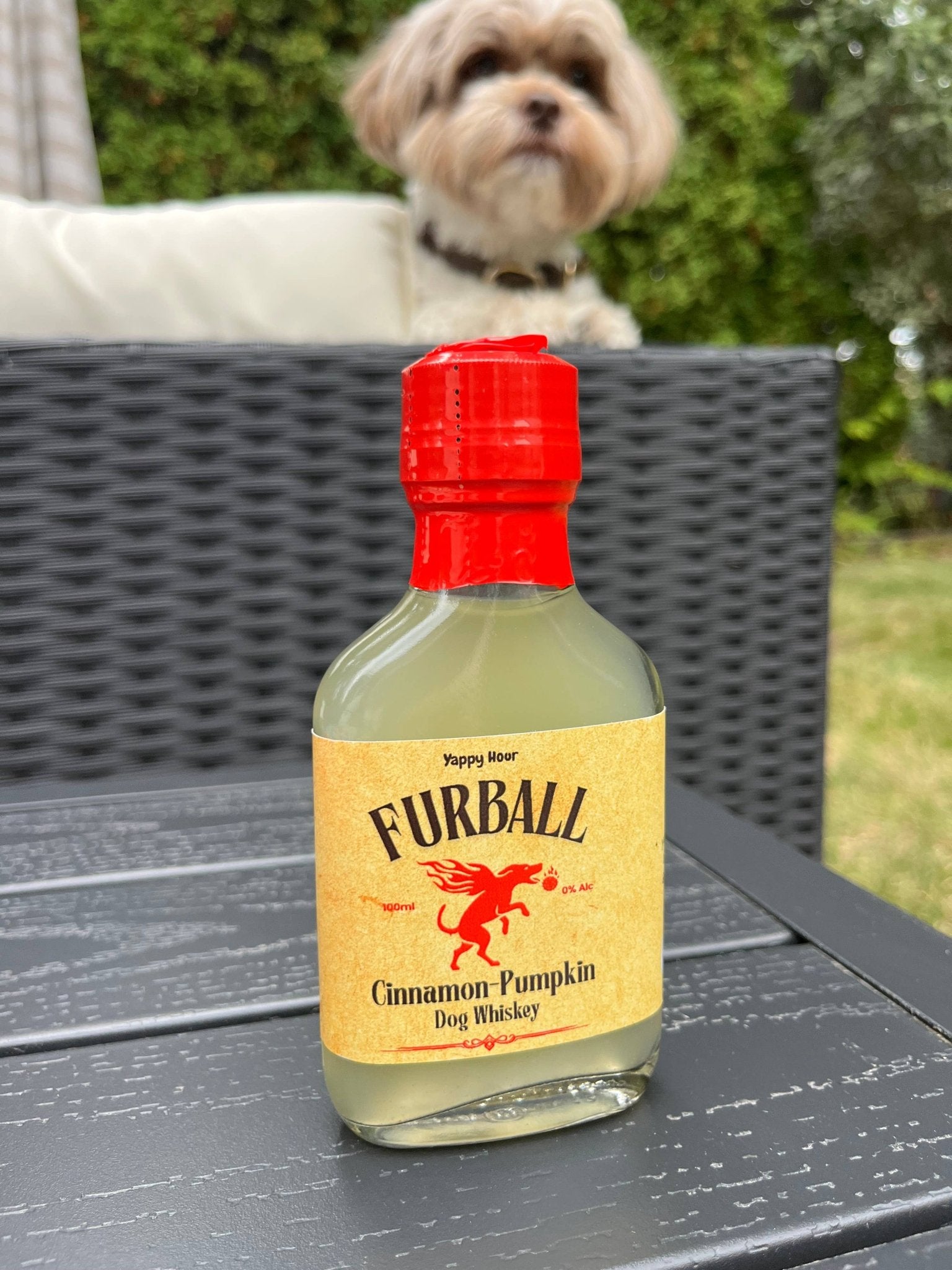 Furball Dog Whiskey | Pumpkin - Cinnamon - Doglicious Bakery Bites
