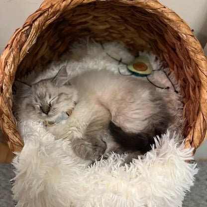 FurRoom - Absolutely non - shed pet calming blanket, machine washable - Doglicious Bakery Bites
