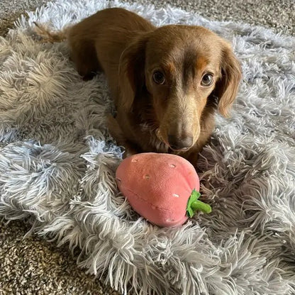 FurRoom - Absolutely non - shed pet calming blanket, machine washable - Doglicious Bakery Bites