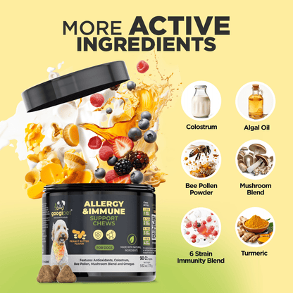 Googipet - Allergy & Immune Support Chews for Dogs (Peanut Butter Flavor) - Doglicious Bakery Bites