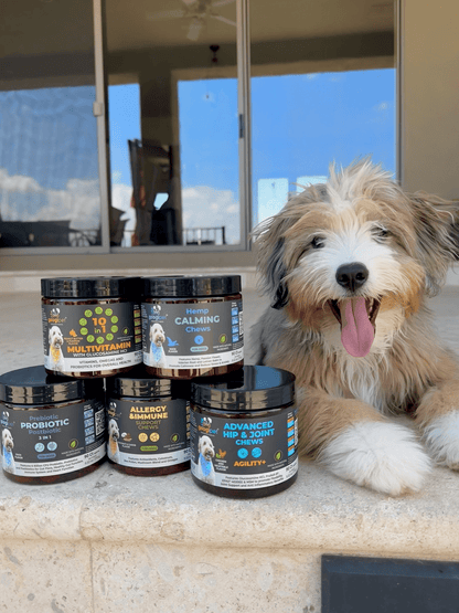 Googipet - Allergy & Immune Support Chews for Dogs (Peanut Butter Flavor) - Doglicious Bakery Bites