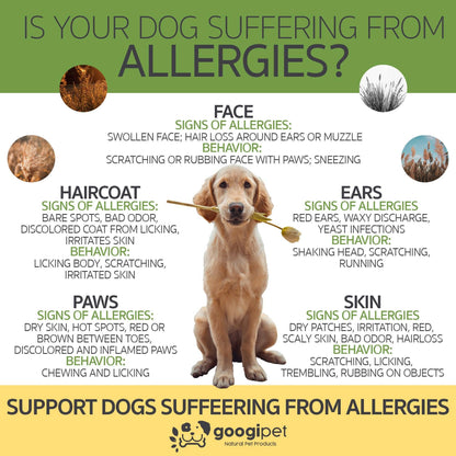 Googipet - Allergy & Immune Support Chews for Dogs (Peanut Butter Flavor) - Doglicious Bakery Bites