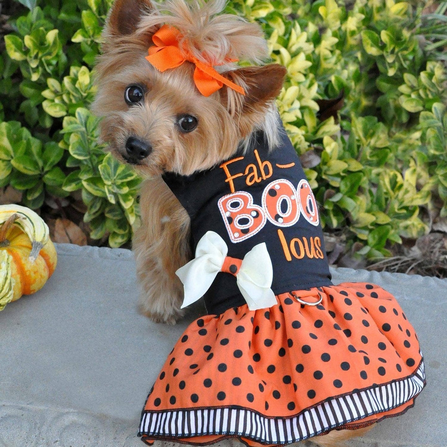 Halloween Dog Harness Dress - Fab-BOO-lous - Doglicious Bakery Bites