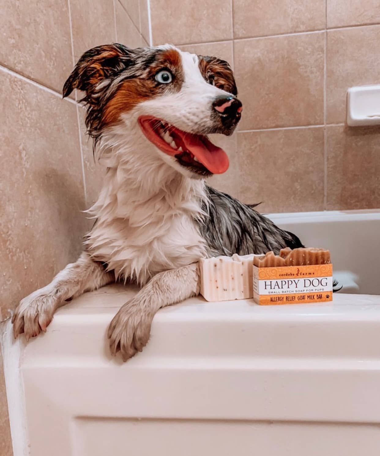 HAPPY DOG Allergy Relief Shampoo - Doglicious Bakery Bites