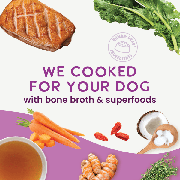 Health Extension Pet Care - Gently Cooked Duck & Kale Recipe - Doglicious Bakery Bites