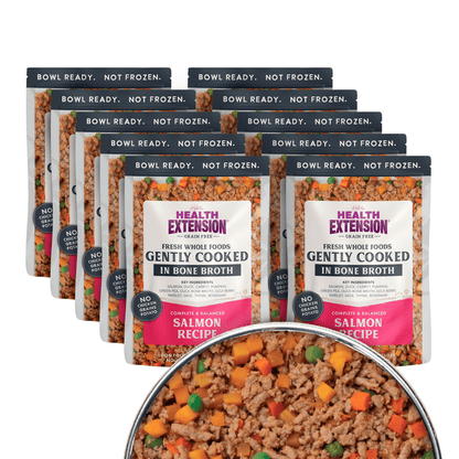 Health Extension Pet Care - Gently Cooked Grain Free Salmon Recipe - Doglicious Bakery Bites
