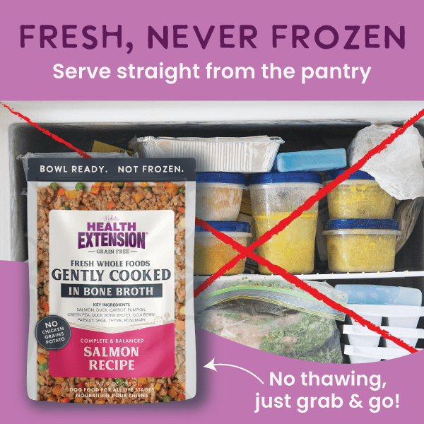 Health Extension Pet Care - Gently Cooked Grain Free Salmon Recipe - Doglicious Bakery Bites