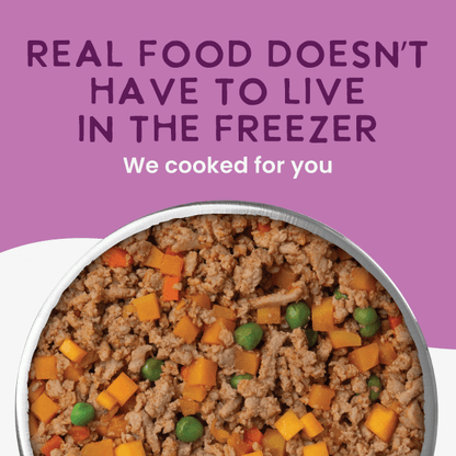 Health Extension Pet Care - Gently Cooked Grain Free Salmon Recipe - Doglicious Bakery Bites