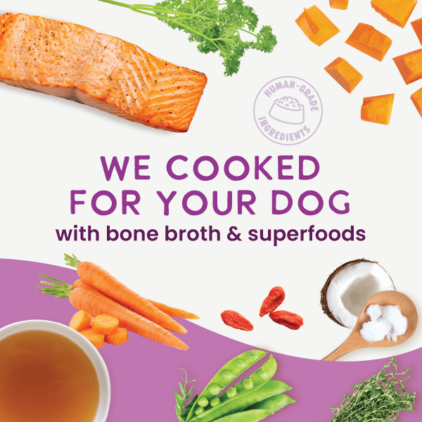 Health Extension Pet Care - Gently Cooked Grain Free Salmon Recipe - Doglicious Bakery Bites