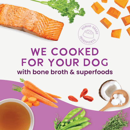 Health Extension Pet Care - Gently Cooked Grain Free Salmon Recipe - Doglicious Bakery Bites