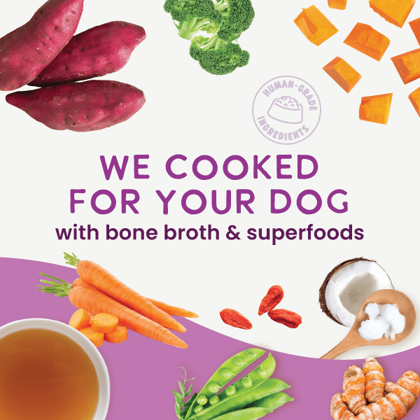 Health Extension Pet Care - Gently Cooked Grain Free Vegetarian Recipe - Doglicious Bakery Bites