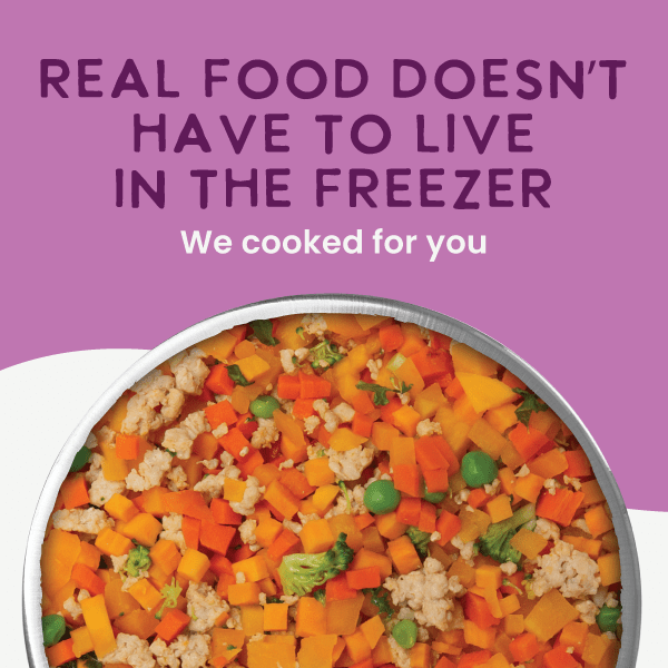 Health Extension Pet Care - Gently Cooked Grain Free Vegetarian Recipe - Doglicious Bakery Bites