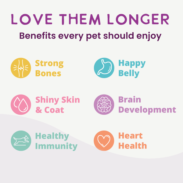 Health Extension Pet Care - Gently Cooked Grain Free Vegetarian Recipe - Doglicious Bakery Bites