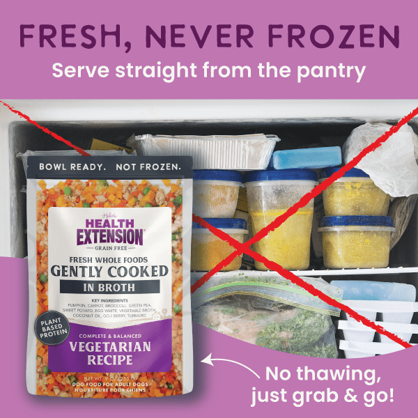 Health Extension Pet Care - Gently Cooked Grain Free Vegetarian Recipe - Doglicious Bakery Bites