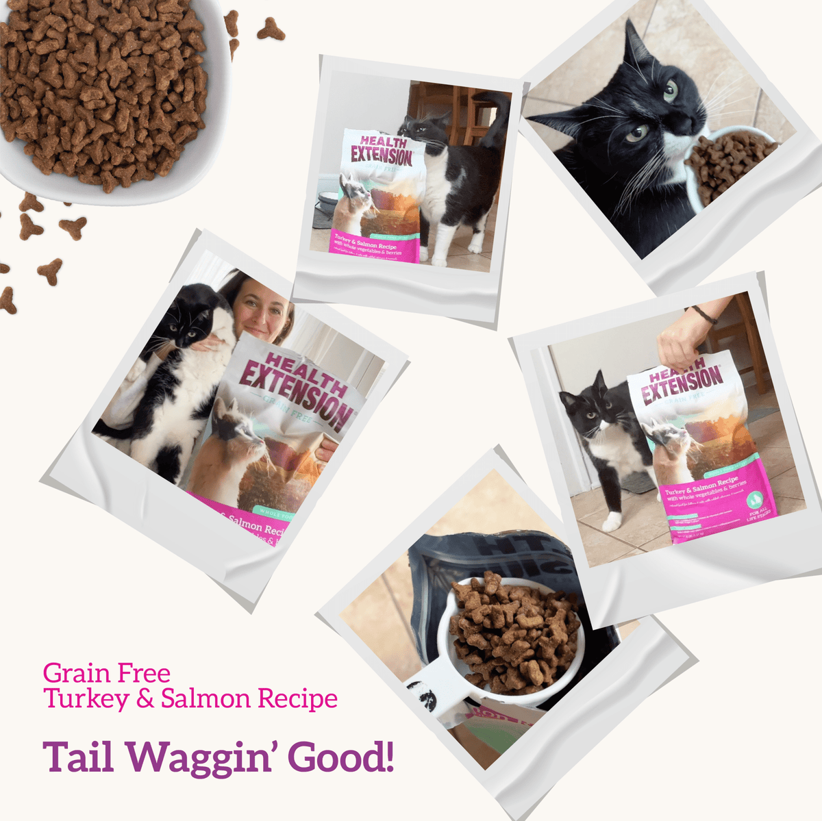 Health Extension Pet Care - Grain Free Turkey & Salmon Recipe - Doglicious Bakery Bites