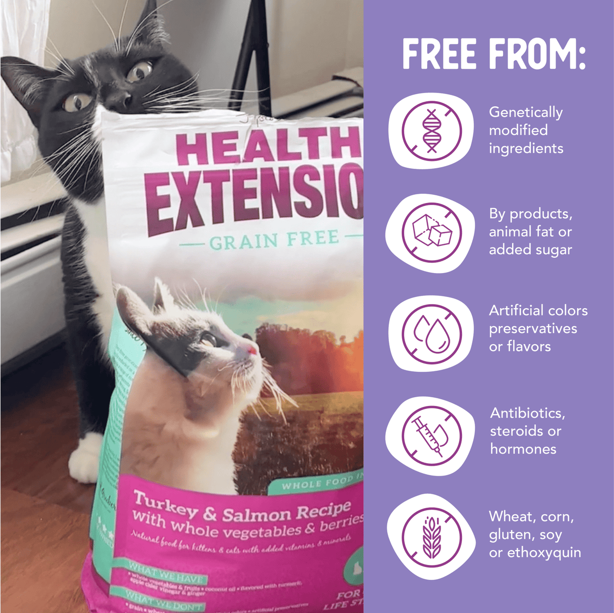 Health Extension Pet Care - Grain Free Turkey & Salmon Recipe - Doglicious Bakery Bites