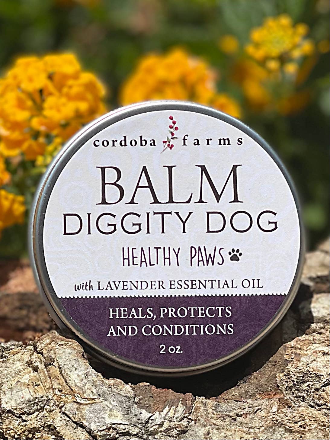 Healthy PAWS And NOSE Balm - Doglicious Bakery Bites