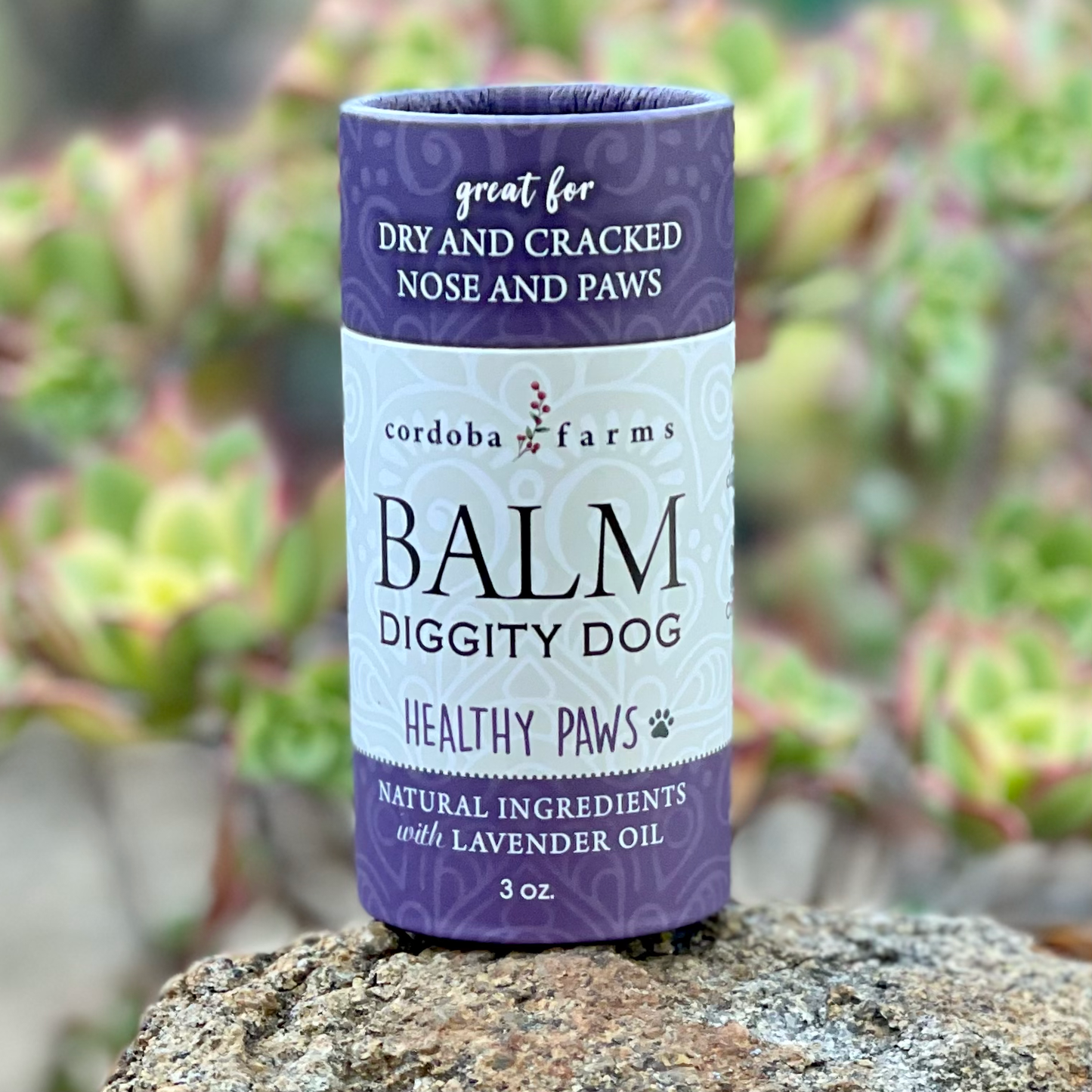 Healthy PAWS And NOSE Balm - Doglicious Bakery Bites