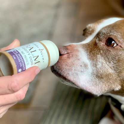 Healthy PAWS And NOSE Balm - Doglicious Bakery Bites
