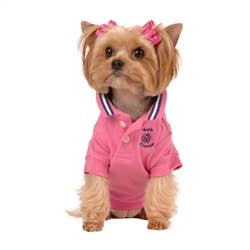 Hip Doggie - Max's Closet Hot Pink Polo - Doglicious Bakery Bites