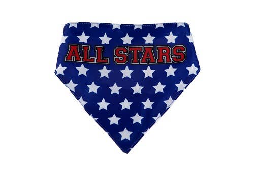 HIP DOGGIE PACK USA DOG BANDANA - Doglicious Bakery Bites