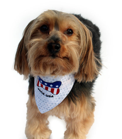 HIP DOGGIE PACK USA DOG BANDANA - Doglicious Bakery Bites