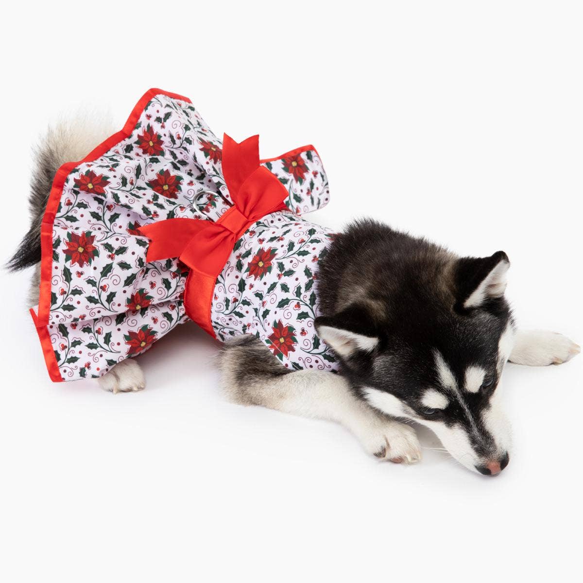 Holiday Dog Harness Dress - Holly - Doglicious Bakery Bites