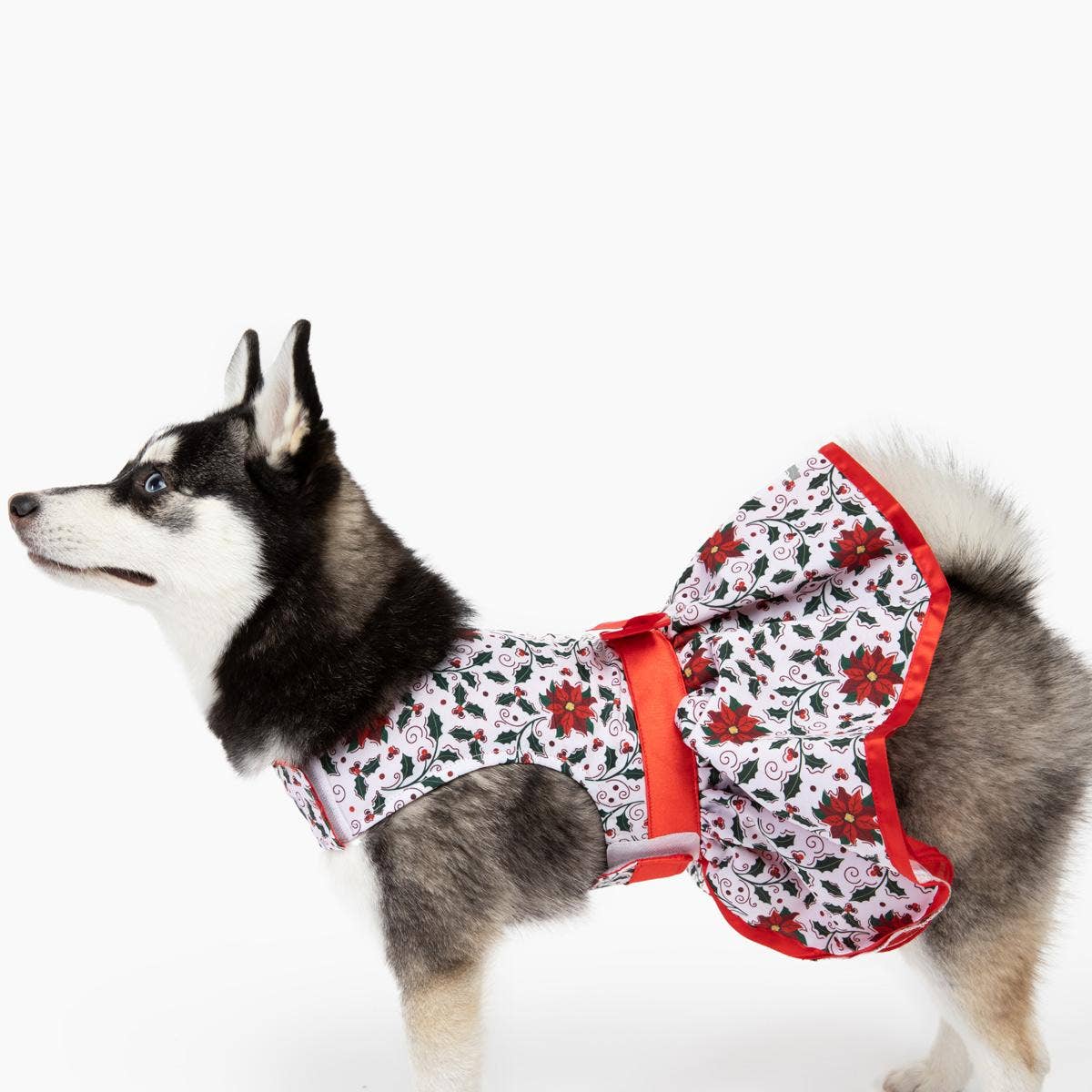 Holiday Dog Harness Dress - Holly - Doglicious Bakery Bites