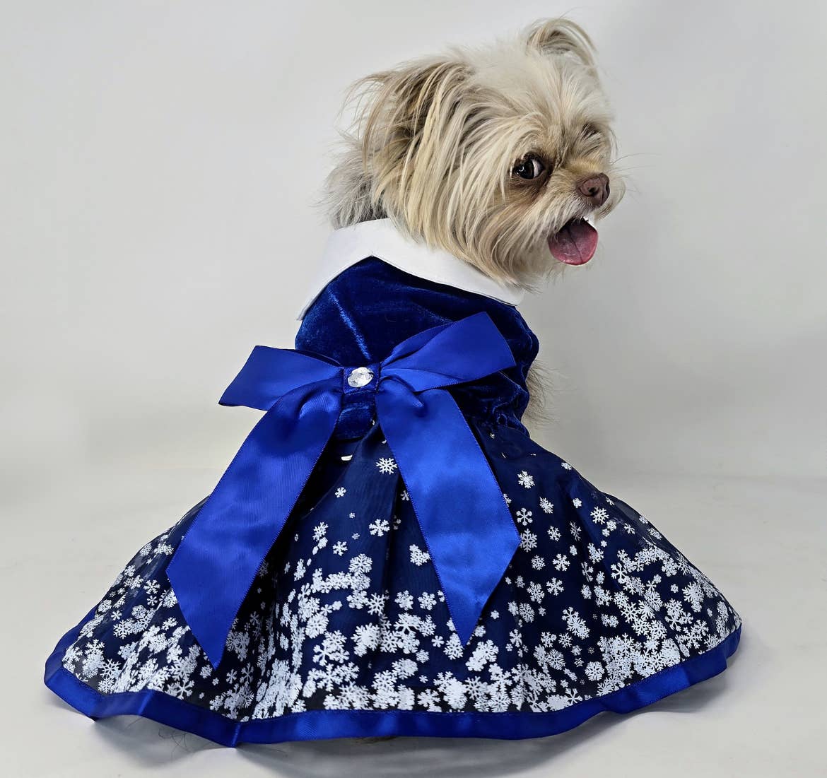 Holiday Dog Harness Dress - Snowflakes - Doglicious Bakery Bites