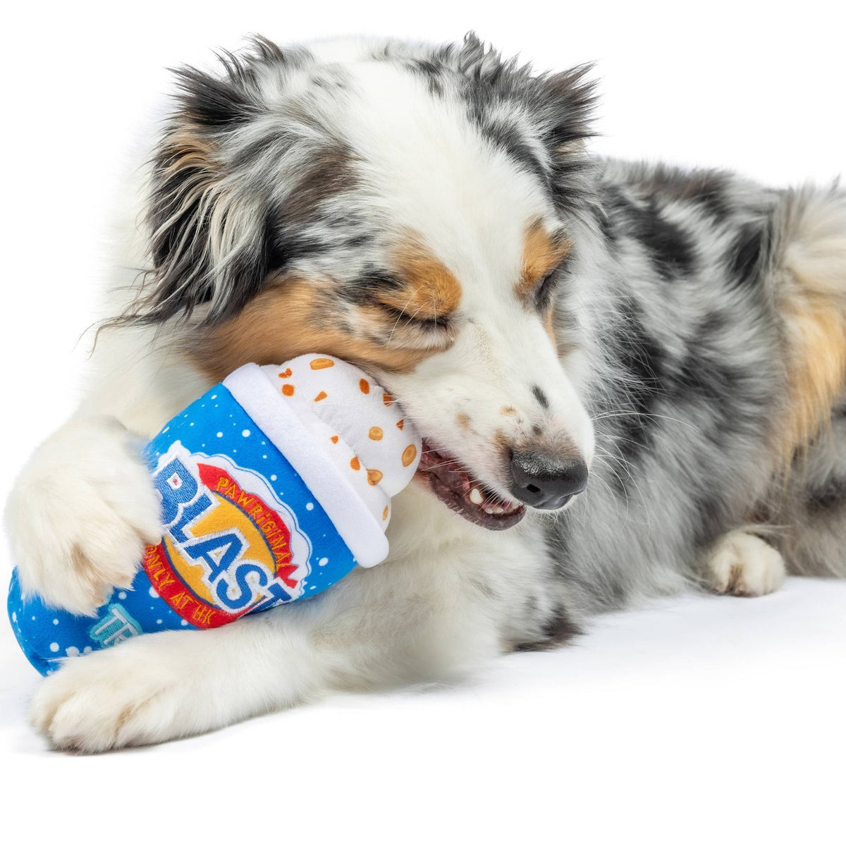 Huxley & Kent - Arctic Blast Treat Dog Toy (Double Sided) - Doglicious Bakery Bites