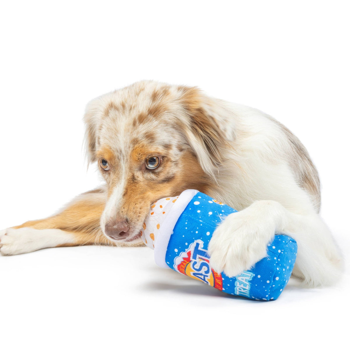 Huxley & Kent - Arctic Blast Treat Dog Toy (Double Sided) - Doglicious Bakery Bites