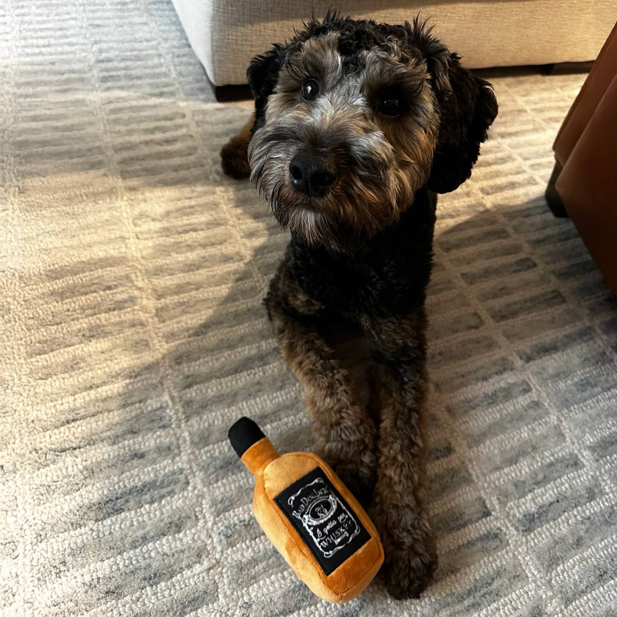 Huxley & Kent - Bad Dog Jack's Whiskey Dog Toy - Doglicious Bakery Bites