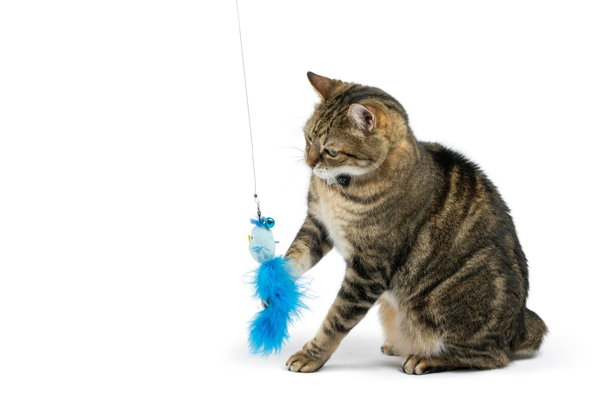 Huxley & Kent - Blue Birdy Feather Teasers 2pk Refill Cat Toy - Doglicious Bakery Bites