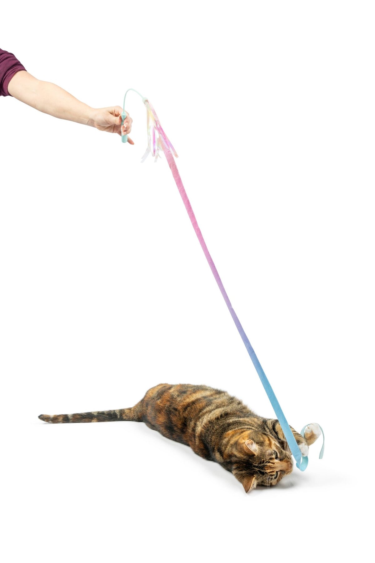 Huxley & Kent - Dance & Lure Pastel Wand Cat Toy - Doglicious Bakery Bites