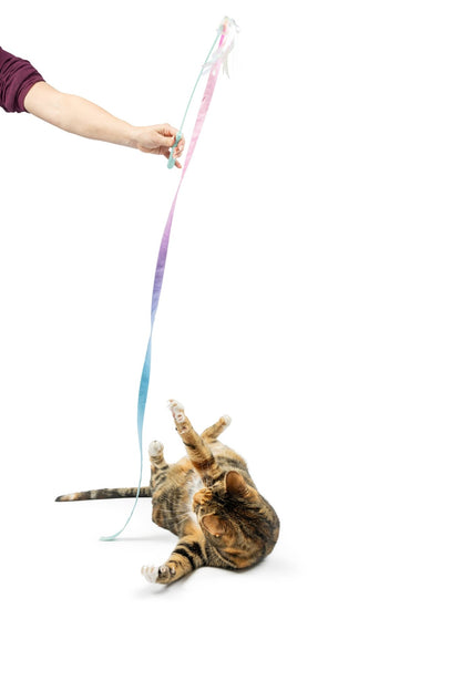 Huxley & Kent - Dance & Lure Pastel Wand Cat Toy - Doglicious Bakery Bites