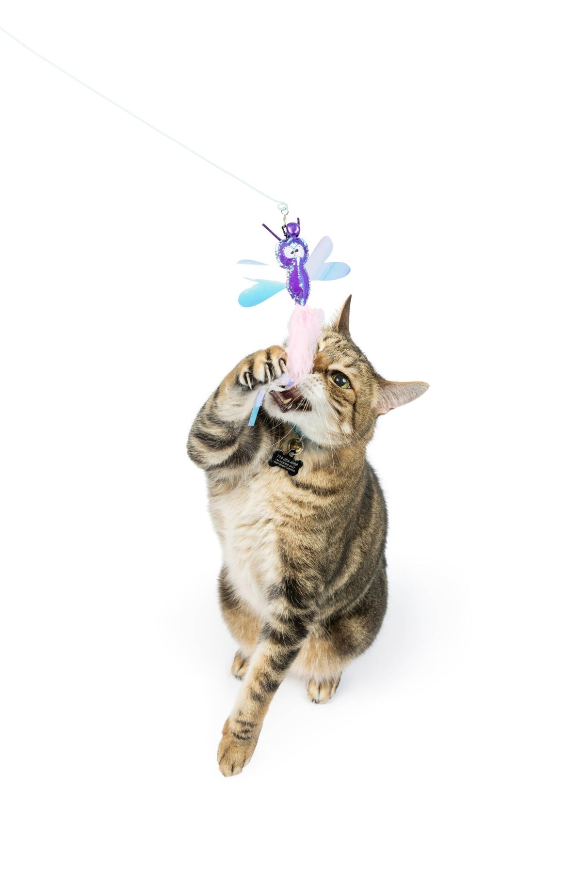 Huxley & Kent - Dragonfly Streamers 2pk Refill Cat Toy - Doglicious Bakery Bites