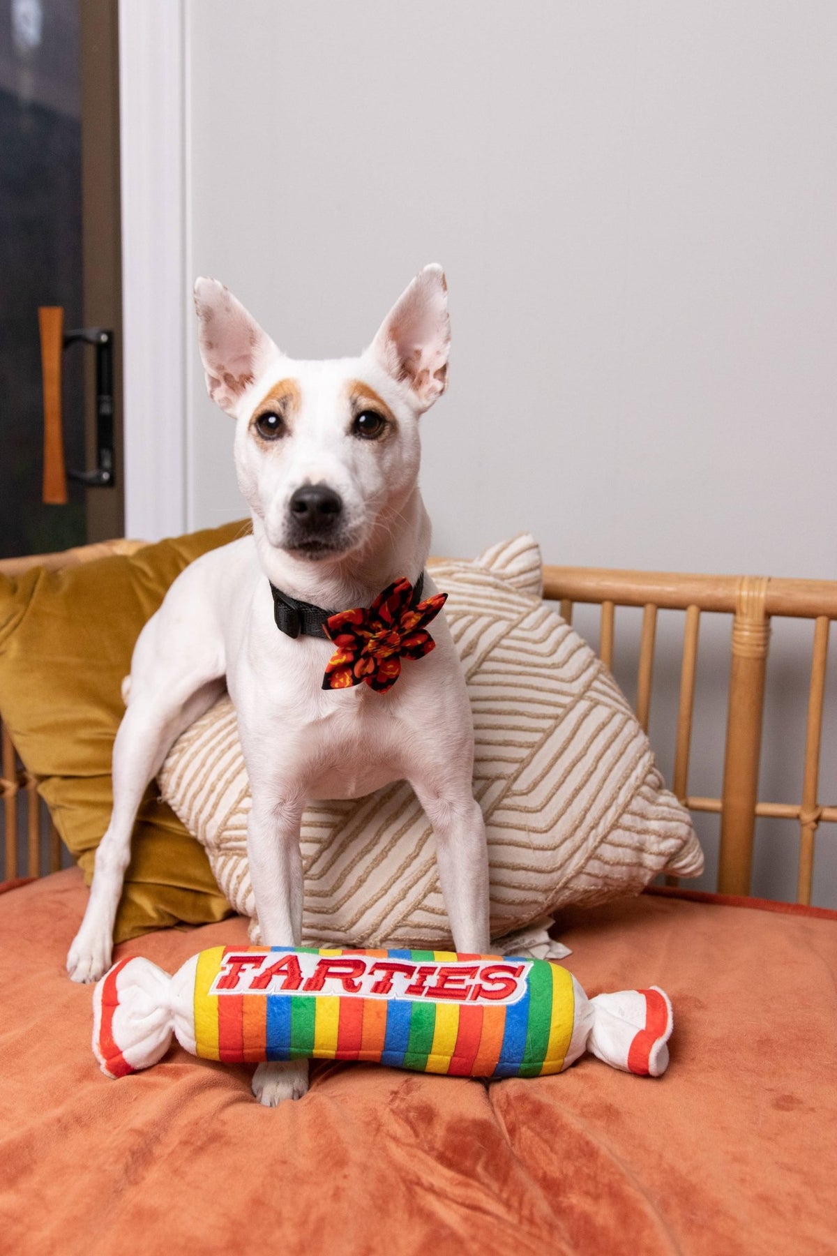 Huxley & Kent - Farties Dog Toy - Doglicious Bakery Bites
