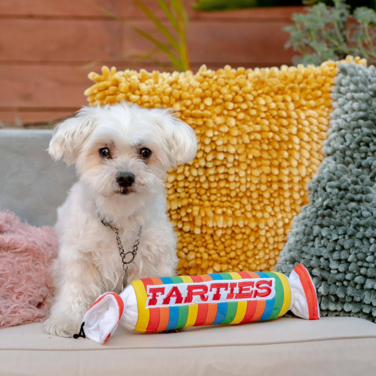 Huxley & Kent - Farties Dog Toy - Doglicious Bakery Bites