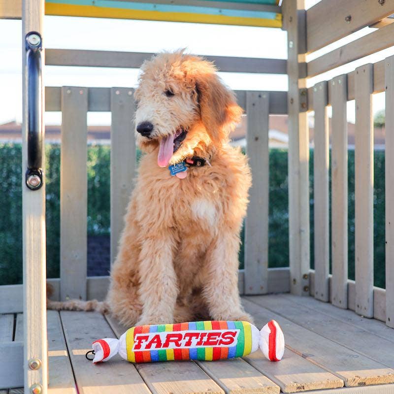 Huxley & Kent - Farties Dog Toy - Doglicious Bakery Bites
