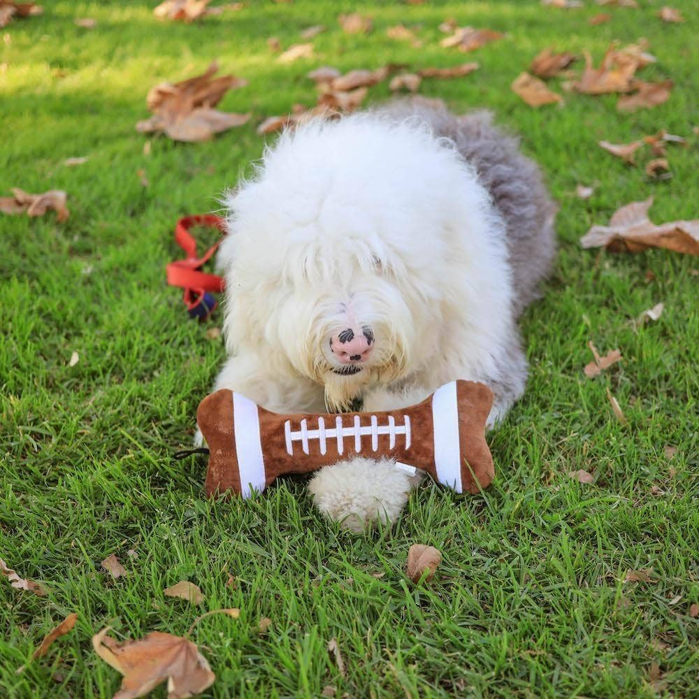 Huxley & Kent - Football Bone Dog Toy - Doglicious Bakery Bites