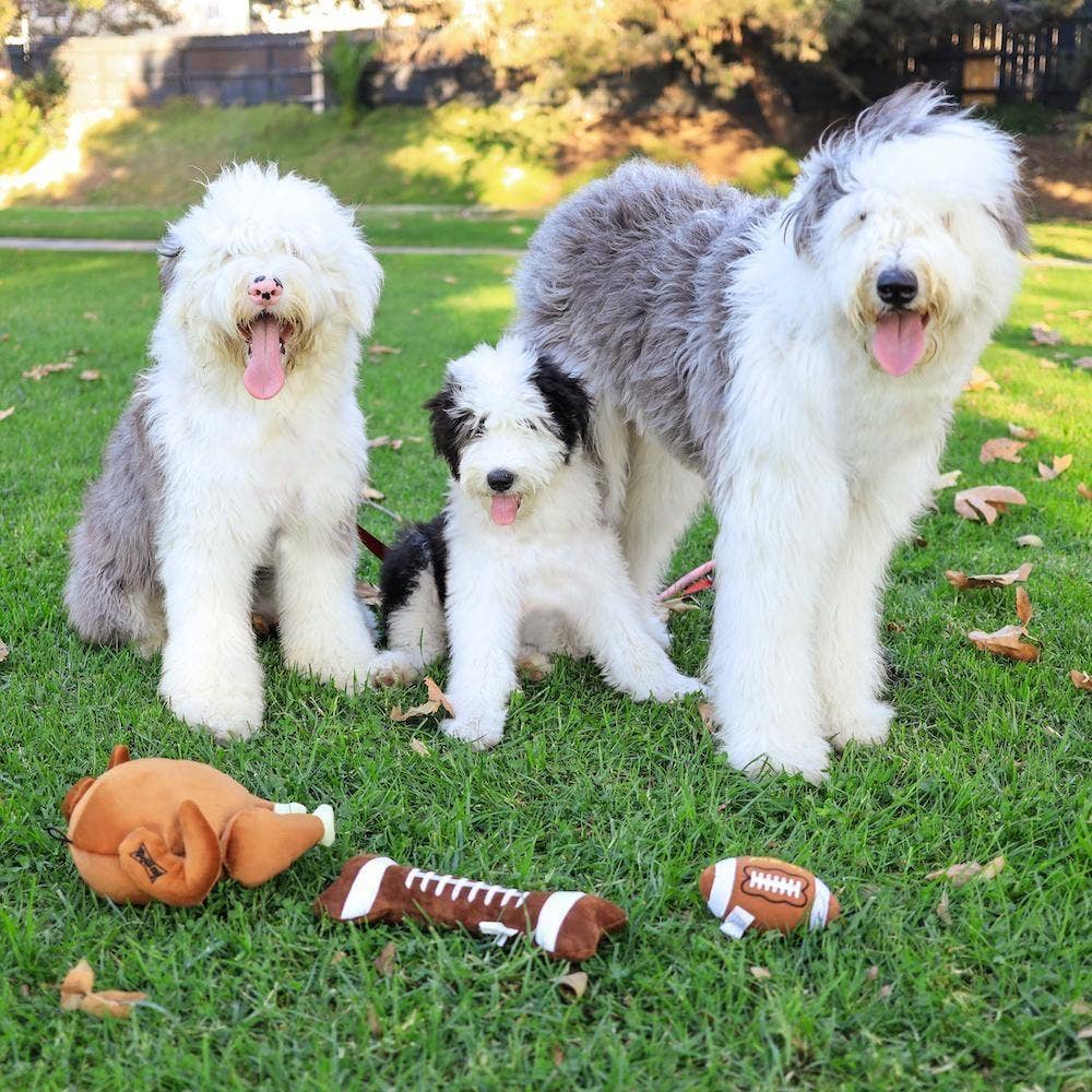 Huxley & Kent - Football Bone Dog Toy - Doglicious Bakery Bites