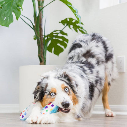 Huxley & Kent - It's My Barkday Bone Dog Toy (Double Sided) - Doglicious Bakery Bites