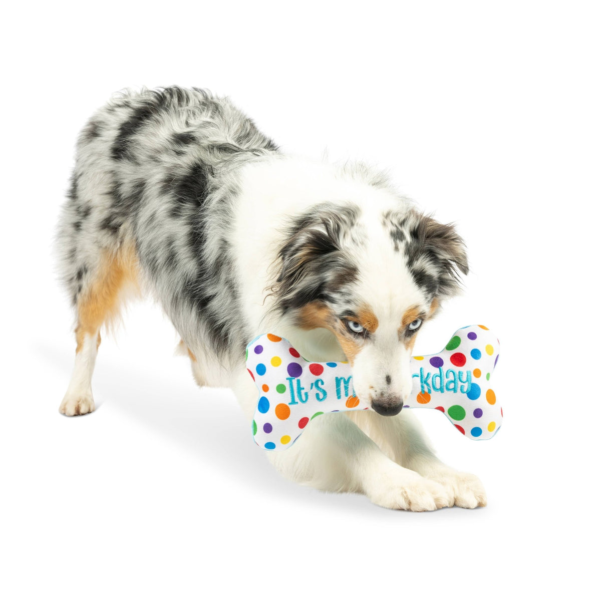 Huxley & Kent - It's My Barkday Bone Dog Toy (Double Sided) - Doglicious Bakery Bites