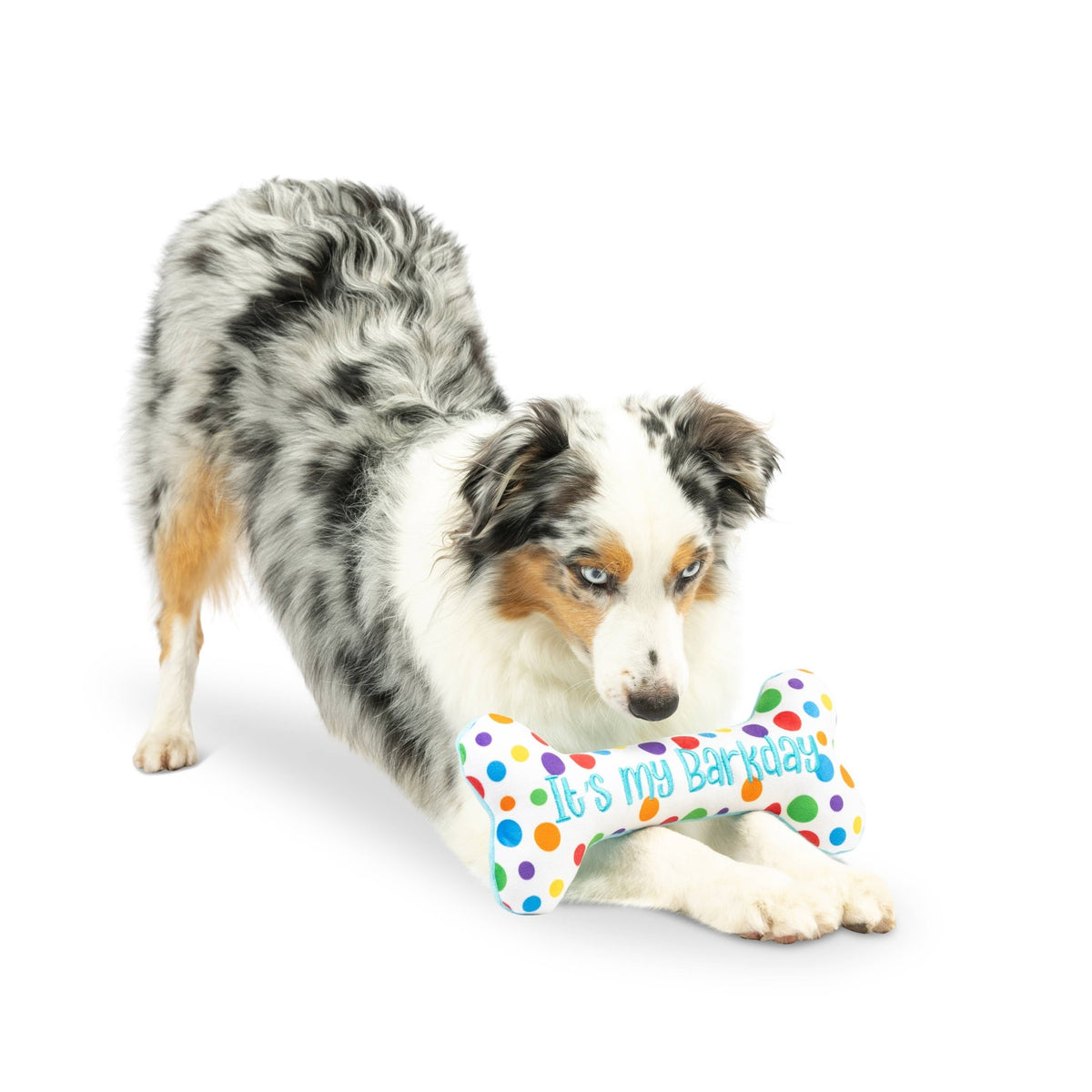 Huxley & Kent - It's My Barkday Bone Dog Toy (Double Sided) - Doglicious Bakery Bites