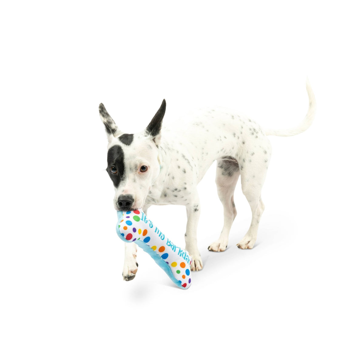 Huxley & Kent - It's My Barkday Bone Dog Toy (Double Sided) - Doglicious Bakery Bites