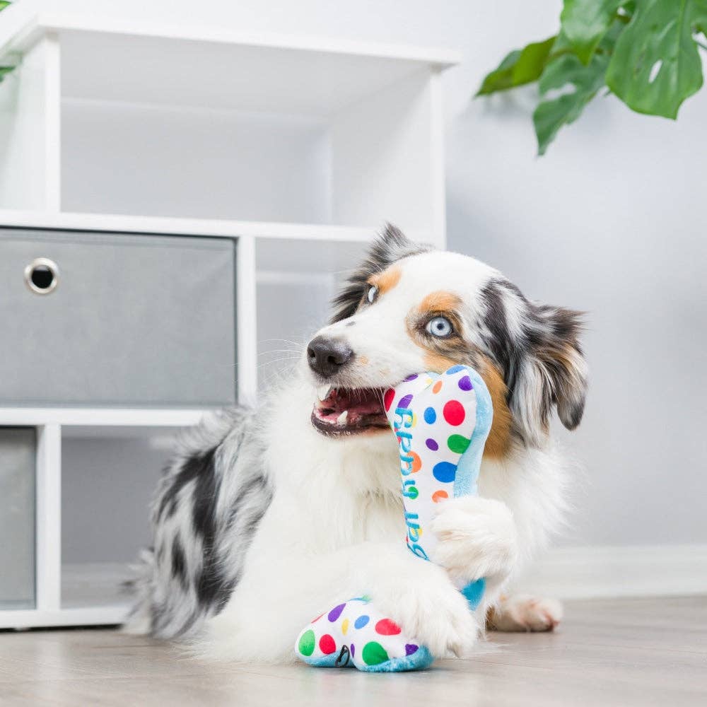 Huxley & Kent - It's My Barkday Bone Dog Toy (Double Sided) - Doglicious Bakery Bites