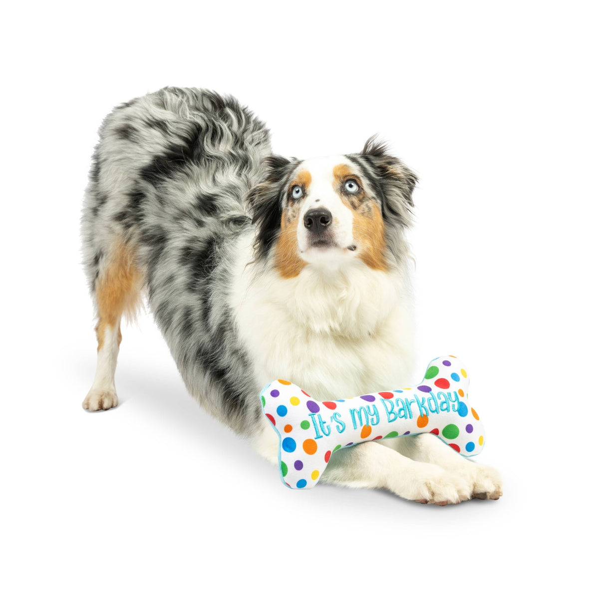 Huxley & Kent - It's My Barkday Bone Dog Toy (Double Sided) - Doglicious Bakery Bites