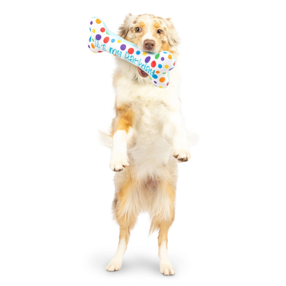 Huxley & Kent - It's My Barkday Bone Dog Toy (Double Sided) - Doglicious Bakery Bites